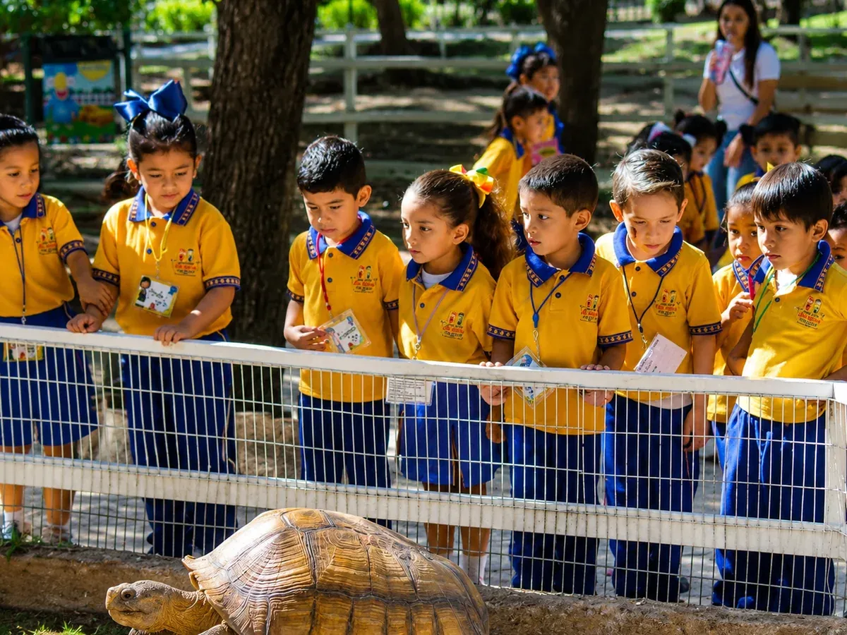 Grupo escolar de preescolar observando una tortuga gigante durante un recorrido en el parque
